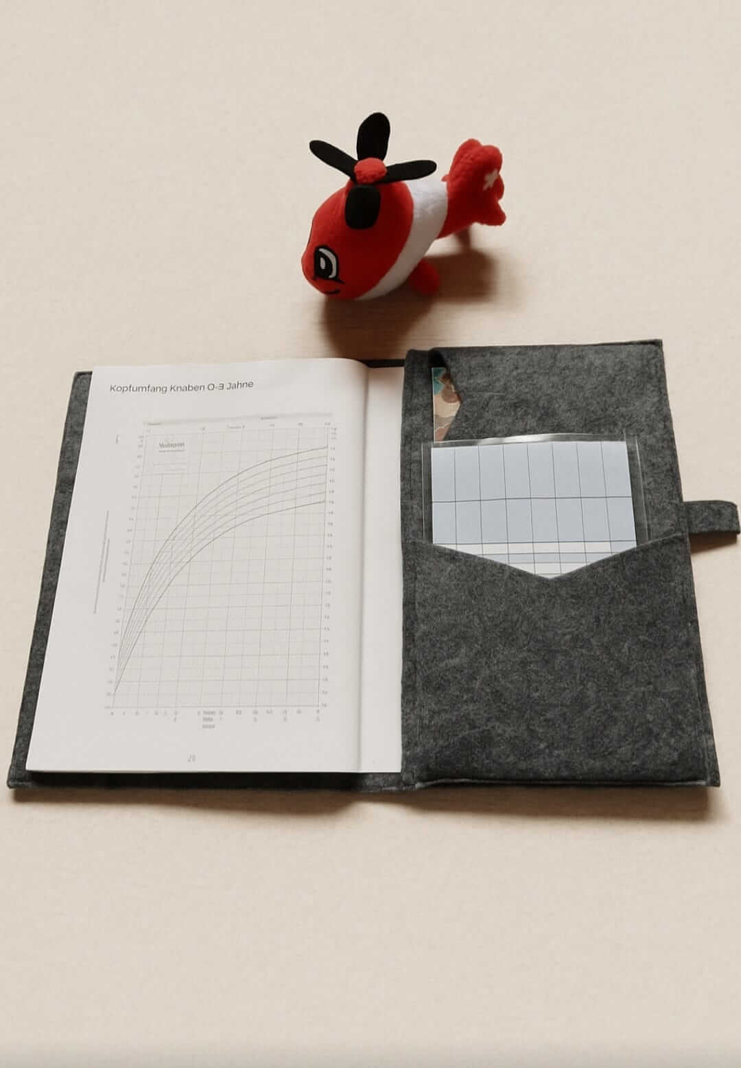 Untersuchungshefthülle